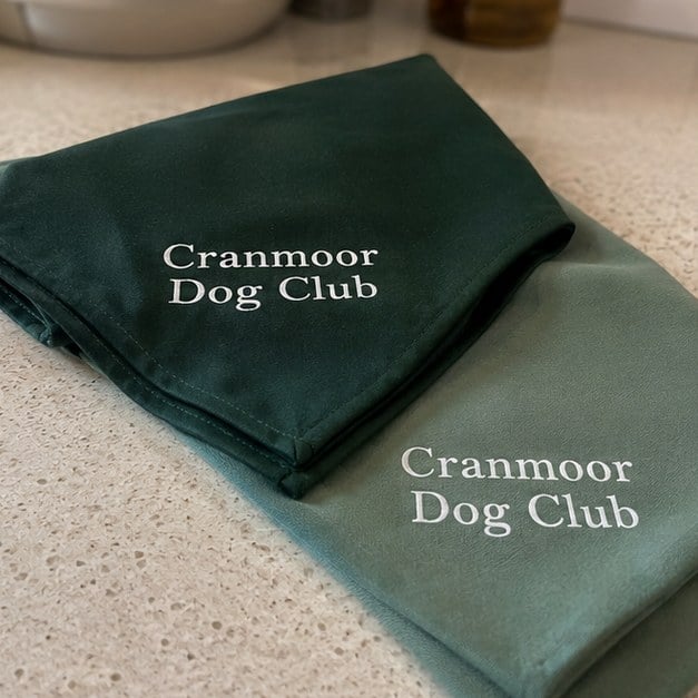 Custom dog bandanas — customer photo