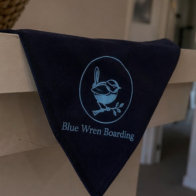 Dog bandanas with logo — customer photo